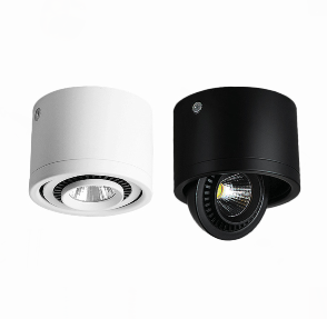 rotatable downlight